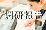 調(diào)研報(bào)告范文匯編14篇