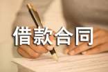 個(gè)人借款合同樣本