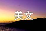 中英雙語(yǔ)美文《The Big Rocks》