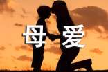 母愛的分離作文