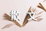 關(guān)于愛的箴言的散文