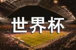 關(guān)于世界杯的作文