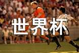 昨天晚上世界杯比賽作文范文(精選24篇)