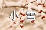 關(guān)于小雪節(jié)氣主題活動(dòng)方案范文